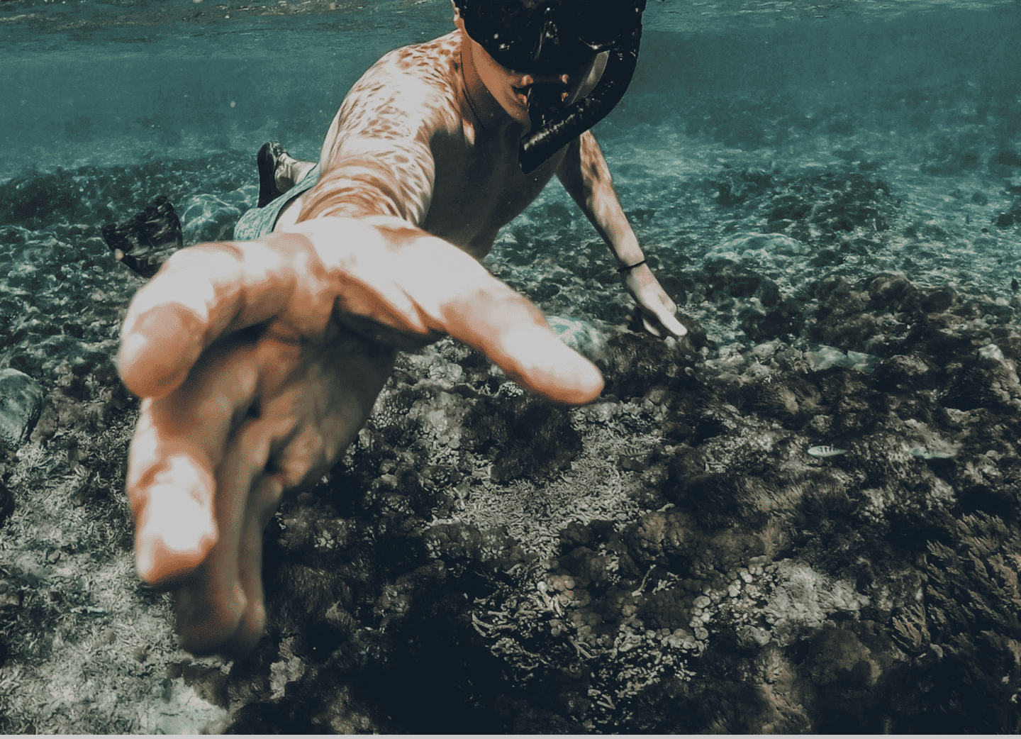 Water Sports Management Software